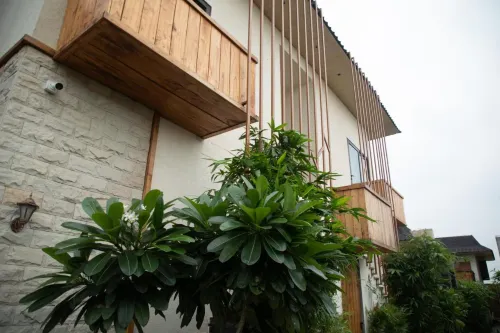 Palm Villas Hotels in Amritsar