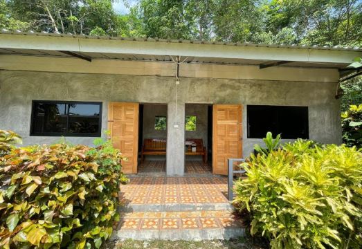 레이지 데이 혼행