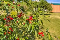 Finger Lakes Farm Retreat Walk to Wineries! - parking