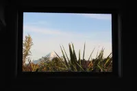 Aviator Hotels in Waitara