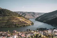 Original Douro Hotel Hotels in Peso da Régua
