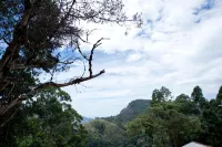 Apurvi Homestay - 2 Sao