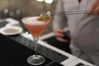 Hotel Tonic