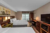 Comfort Inn South