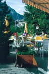 Hotel Adler Garni Hotels in Mittelberg