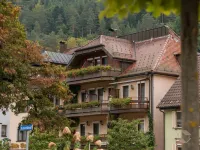 Hotel Restaurant Alte Linde Hotels in Bad Wildbad