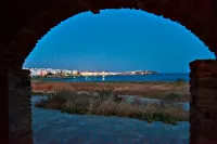 Noa Tinos