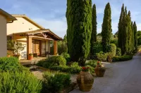 B&B Villa Giulia - bar