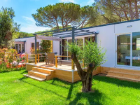 卡寧拉科納松樹營地 卡波利韋裡住宿飯店