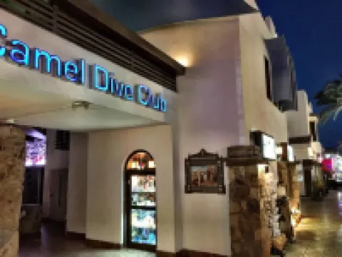 Camel Dive Club & Hotel - Boutique Hotel Hotels near Naama Bay