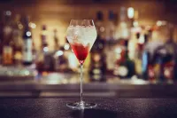 Die Burg Hotels in Bad Dürrheim