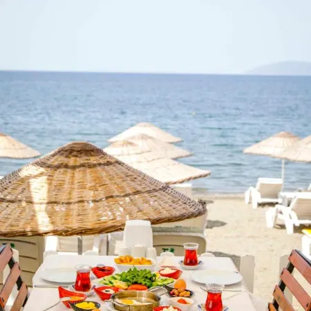 Teos Ormanci Tatil Koyu