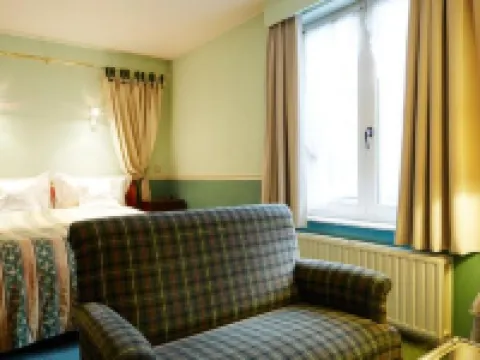 Hotel Ter Driezen トゥルンホウトのホテル