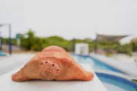 Dushi Vida Country Inn