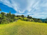 The Pinehill Farm