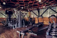 شاكون هوتلز آند ريزورتس جايبور