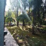 Magia di Mare