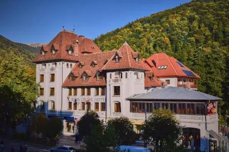Hotel Rina Cerbul Отели в г. Valea Doftanei