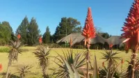 African Flair Country Lodge Hotels in Piet Retief