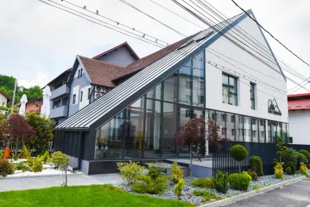 Hotel Subcarpati Отели в г. Baiculesti