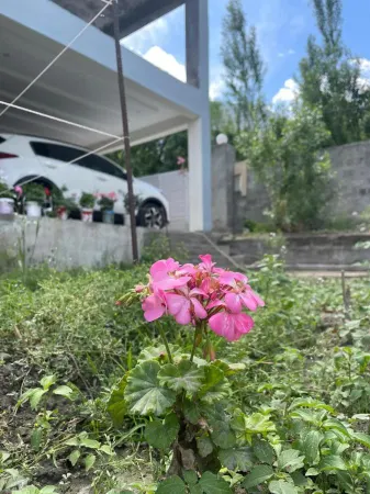Mountain Face Skardu