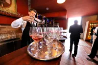 Boutique Hotel Boškinac - バー