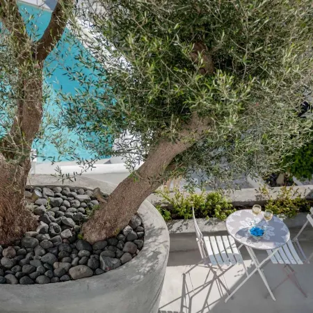 Senses Suites