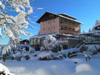 Hotel Cresta Hôtels à : Flims