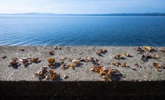 Hotel Borgo Vistalago