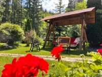 Top Mountain Hotels in Cristian
