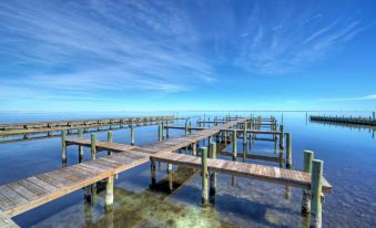 Boat Dock & Pool Private Fishing Village Roseate Spoonbill by AvantStay