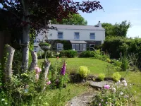Vine Cottage Hotels in Par