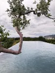 Inchantreemeedao