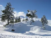 B&B Don Diego Hotels in Linguaglossa