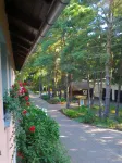 Feriendorf Min Herzing