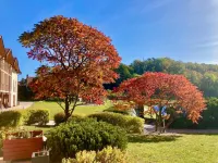 K-Triumf Resort Hotels in 