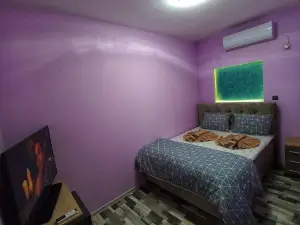 The Old Vine
