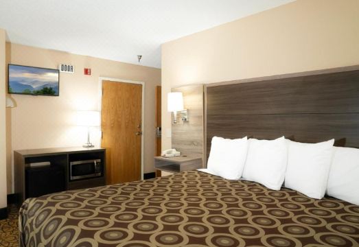 5. 게스트 인 피전..