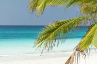 Tikitam Palms Boutique Hotel - Strand
