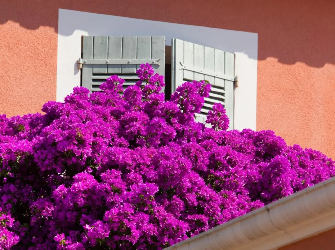 Hôtel Le Mouillage - Saint-Tropez