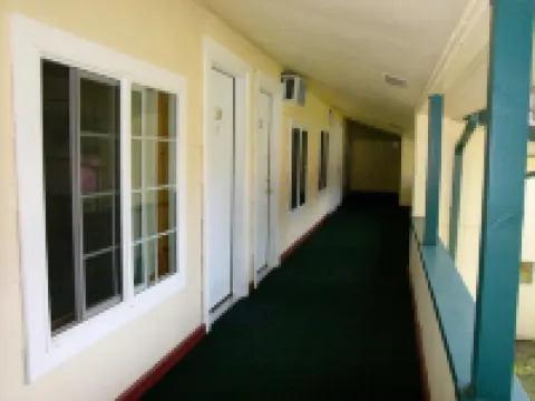 Mountain View Lodge - No Pets Allowed