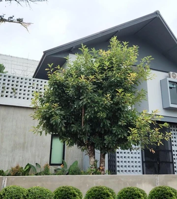 รูปภาพของH1boutique