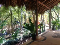 Hotel Okaan Hotels in Chichen Itza