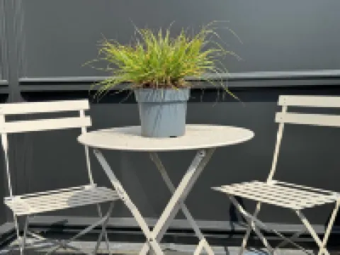 Boutique Hotel Hans - Amsterdam Schiphol Airport Hotels in Badhoevedorp