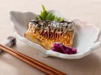 فندق تسوباميسانجو واشنطن فنادق في سانجو