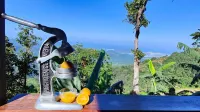 Minca Sintropia - Sustainable Lodge & Organic Coffee Finca - Mountain view