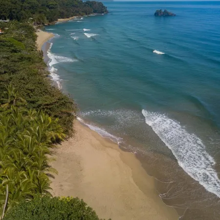 Playa 506 Beachfront Hostel Hotels in Cocles