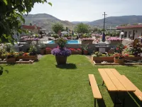 Apple Tree Inn - piscine