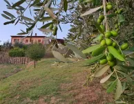B&B I Coppi