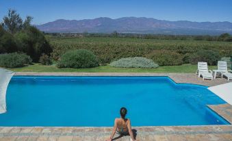 Vinas de Cafayate Wine Resort